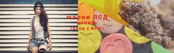 ГАЛЛЮЦИНОГЕННЫЕ ГРИБЫ Арсеньев